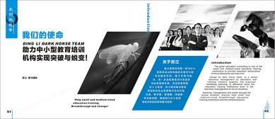 廣告策劃 教育行業(yè)類畫冊