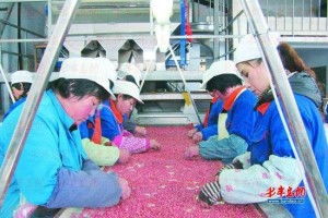 電子產(chǎn)品篩選廠 銷售策略與市場(chǎng)前景